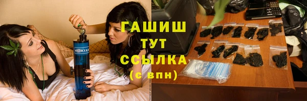 прущие грибы Осинники