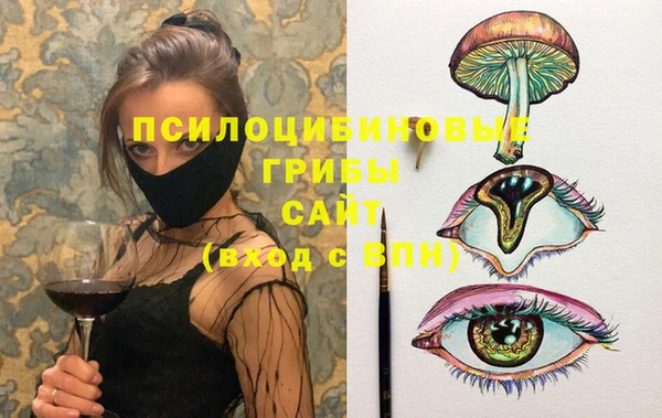 прущие грибы Осинники