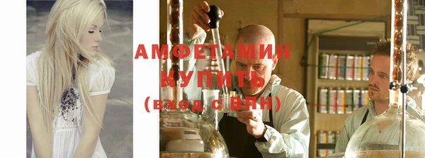 прущие грибы Осинники