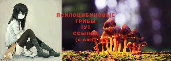 кокс Осташков