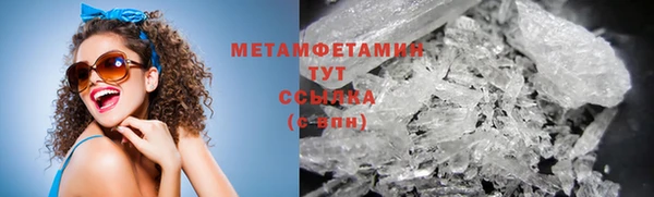 прущие грибы Осинники