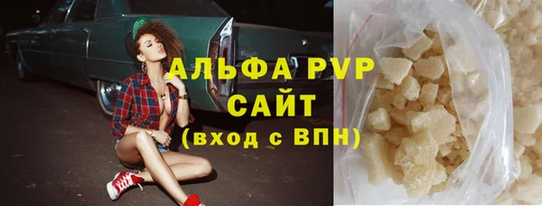 прущие грибы Осинники