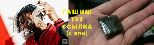 прущие грибы Осинники