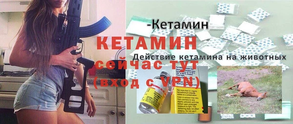прущие грибы Осинники