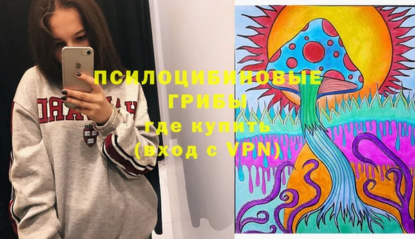 прущие грибы Осинники