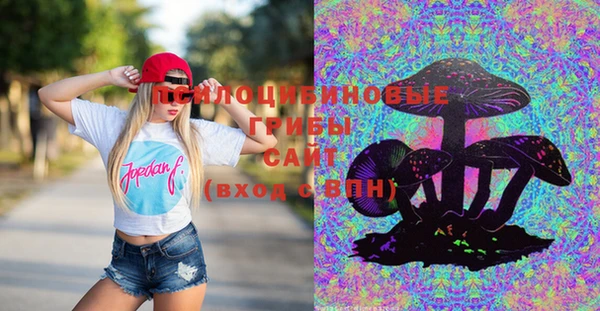 прущие грибы Осинники